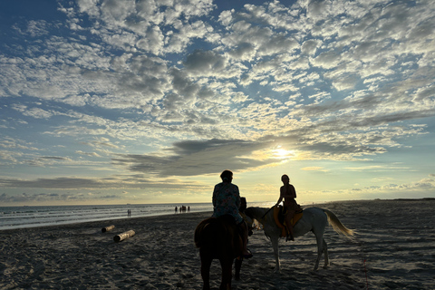 Salalah: Passeio a cavalo na praia com recolha e entrega no hotel60 minutos de passeio a cavalo na praia