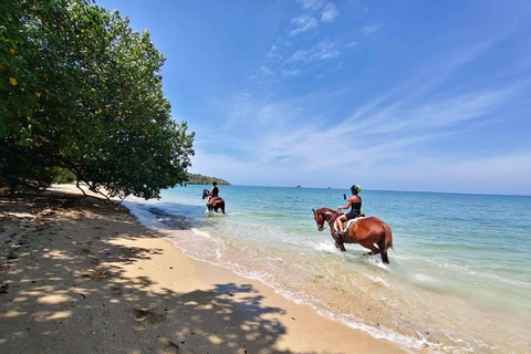 Krabi: Relaxing Horse Ride Along Klong Muang Beach