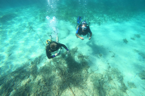 Paphos: Entdecken Sie das Tauchen mit Abholung