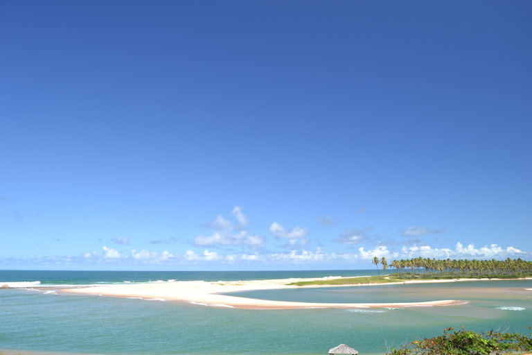 Salvador North Shore: Beach Hopping Tour to Praia do Forte