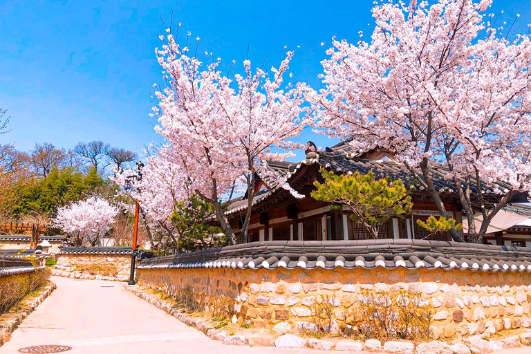 Busan: Spring Cherry Blossom & Gyeongju Highlights Day Tour