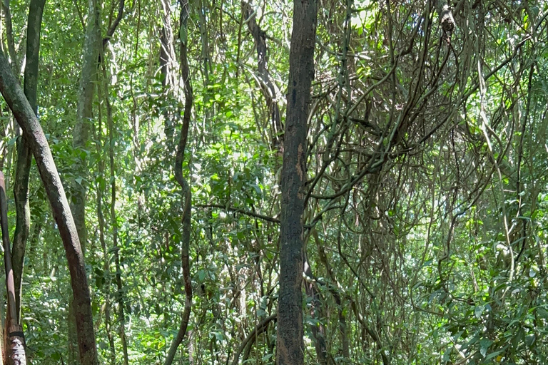 Black Virgin Mountain,Cu Chi Tunnels, Cao Dai By Motorbike