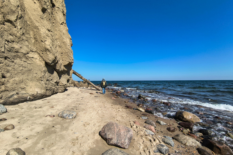 Gdynia: Forest, Cliff, and Beach Guided Walking Tour
