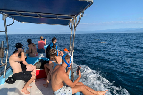 Puerto Escondido: Bootstour zu Delfinen und MeerestierenPrivate Tour