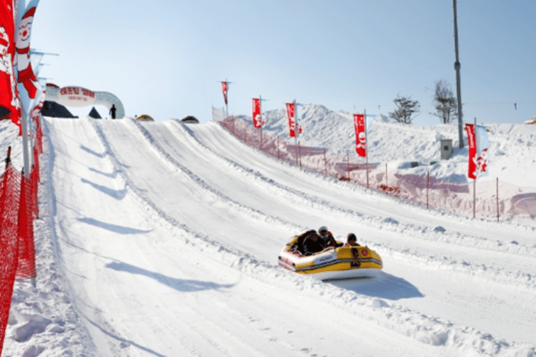 Seoul: SnowyLand in Vivaldi Park with Nami or Alpaca Group Tour with Alpaca World from Hongik University Station