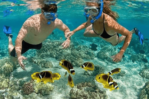 Zanzibar: nuota con le stelle marine e fai snorkeling alla Blue Lagoon