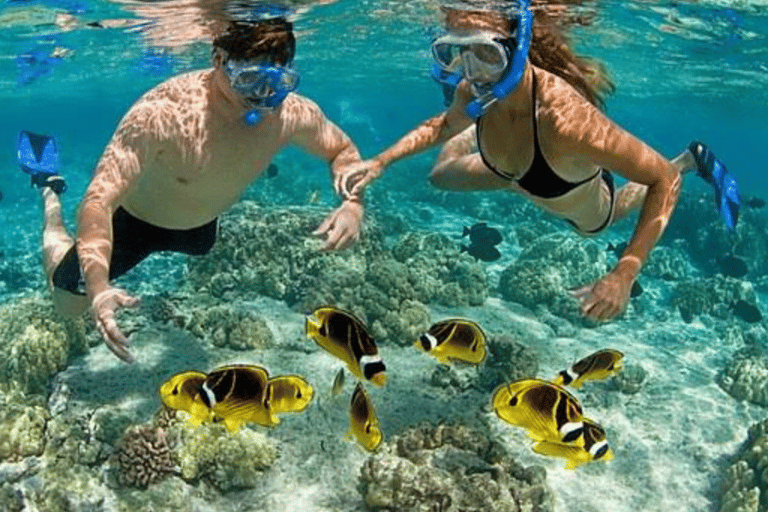 Zanzibar: Swim with Starfish and Snorkeling At Blue Lagoon