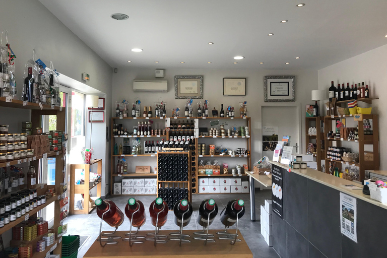 Bordeaux: Klassisk rundtur på Château Saint Ahon