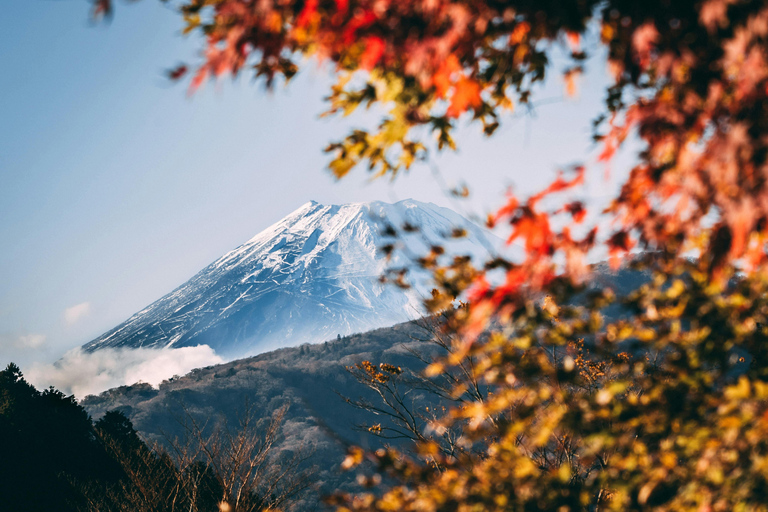 Circuito de 7 días Tokio Kamakura Hakone Nikko Yokohama Fuji Kioto