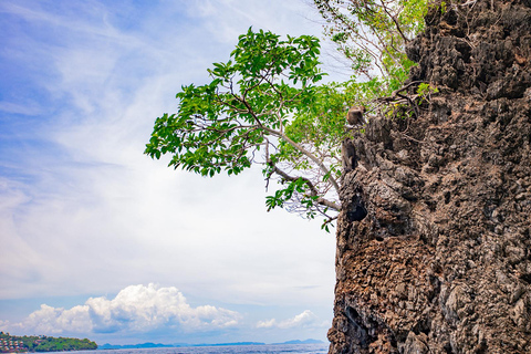 Von Khao Lak aus: Phi Phi, Maya Bay und Khai Inseln Tagesausflug