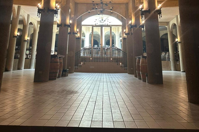 Viña Haras de Pirque Wine Experience