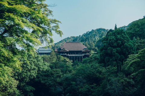 Kyoto, Gion & Nara: Culture & Heritage Full-Day Tour Trip from Osaka 8:40AM