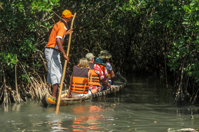 Cartagena: La Boquilla Mangrove Canoe Tour with Lunch