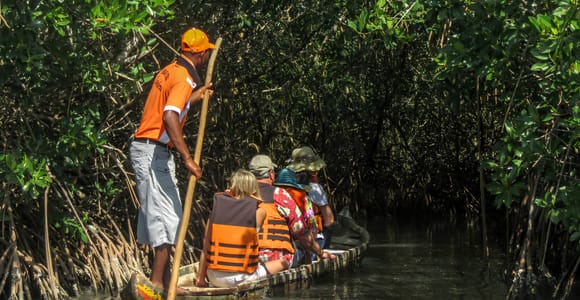 Cartagena: La Boquilla Mangrove Canoe Tour with Lunch