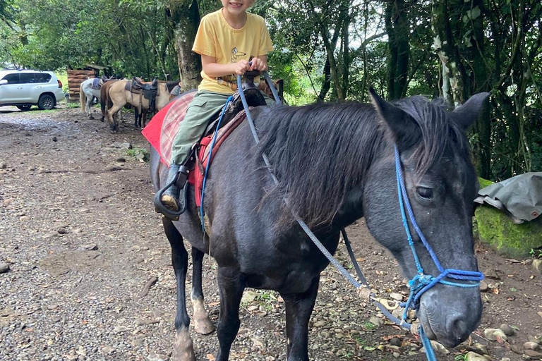 Horseback Ride + Contact Farm in Boquete 2 hours
