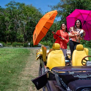 Panglao Island IG Jeep Tour — photo 2