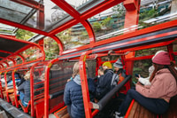 From Sydney, Blue Mountains, Scenic World All Inclusive Tour - Housity