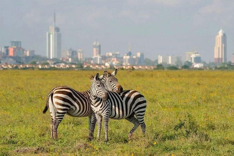 Nairobi National Park: Early Morning or afternoon adventure Early morning game drive in a Landcruiser JEEP