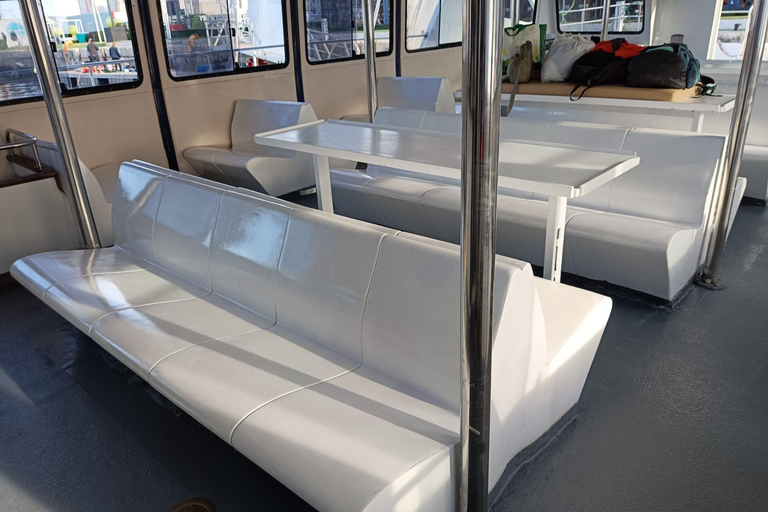 Valencia: Catamaran Cruise, Paella Lunch and Swim Stop