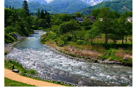 Nagano/Tokyo: Snow Monkey Private Day Tour At Lowest Rate