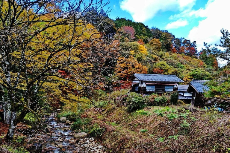 Nagoya to Tokyo | 3 Day Nakasendo & Nagano Highlands Journey