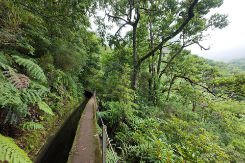 Madeira: PR17 Bica da Cana Encumeada Guided Hike with Pickup Madeira: Bica da Cana to Encumeada Guided Hike with Pickup