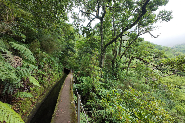 Madeira: PR17 Bica da Cana Encumeada Guided Hike with Pickup Madeira: Bica da Cana to Encumeada Guided Hike with Pickup
