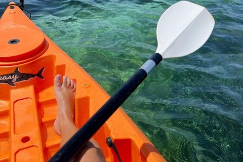 Menorca: Guided kayak tour of Mongofre and Addaia Bay