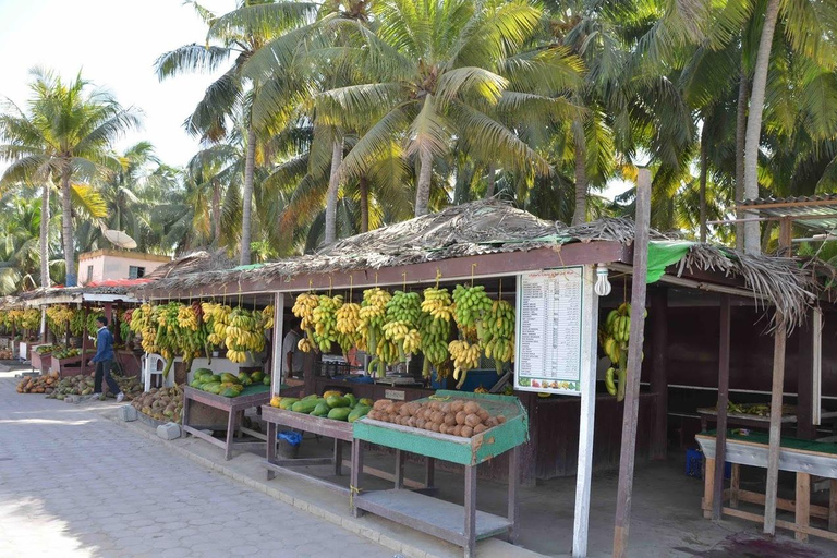 Entdecke Salalah Stadt, Geschichte, Natur, Kultur