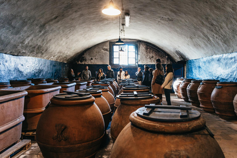 Da Firenze: Safari con degustazione di vini e cibi del Chianti