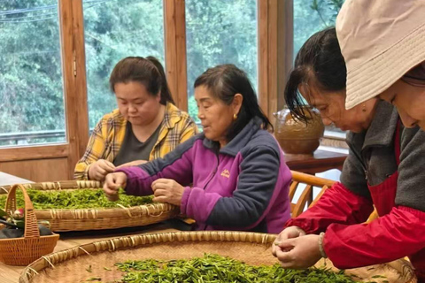 2-Day Zhangjiajie: Rice Terrace, Glass Bridge & Opt Tea Tour 2-Day Zhangjiajie Tour