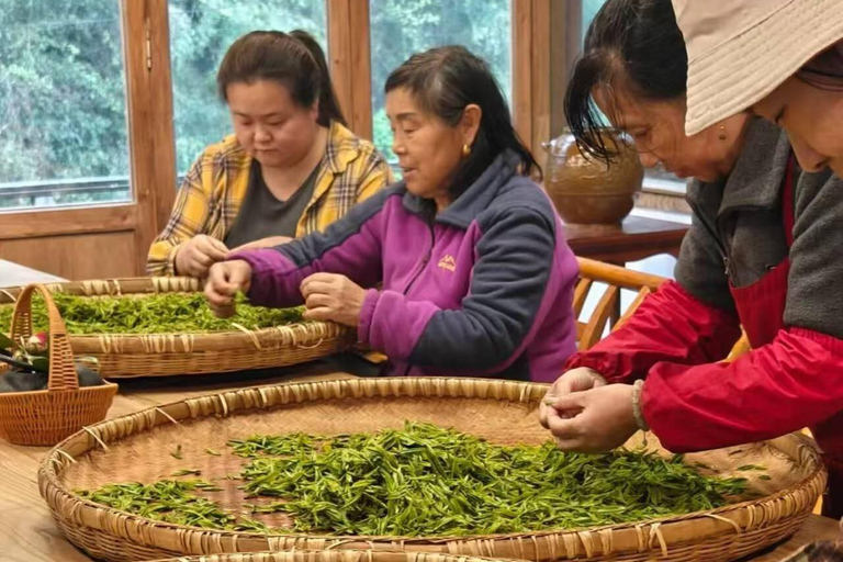 2-Day Zhangjiajie: Rice Terrace, Glass Bridge & Opt Tea Tour 2-Day Zhangjiajie Tour
