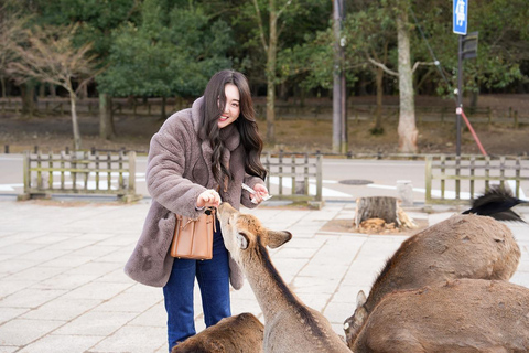 Excursión Privada de un Día a lo Más Destacado de Nara y Osaka
