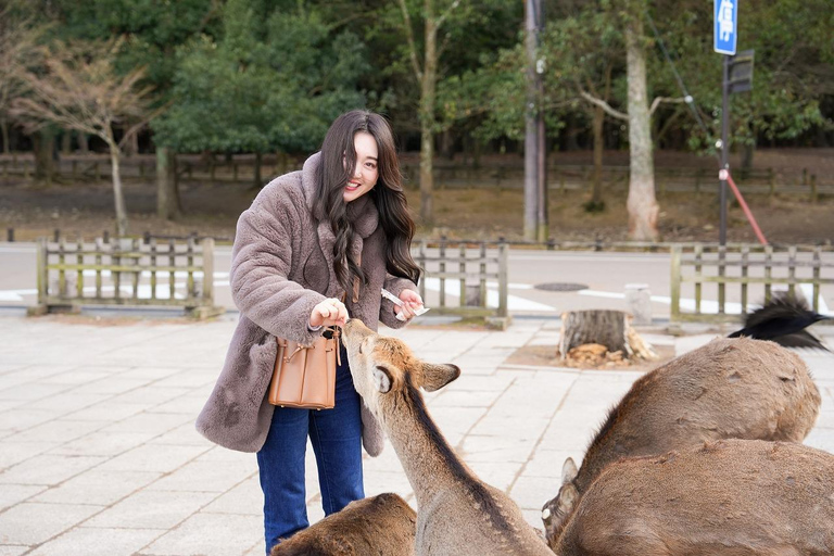 Excursión Privada de un Día a lo Más Destacado de Nara y Osaka