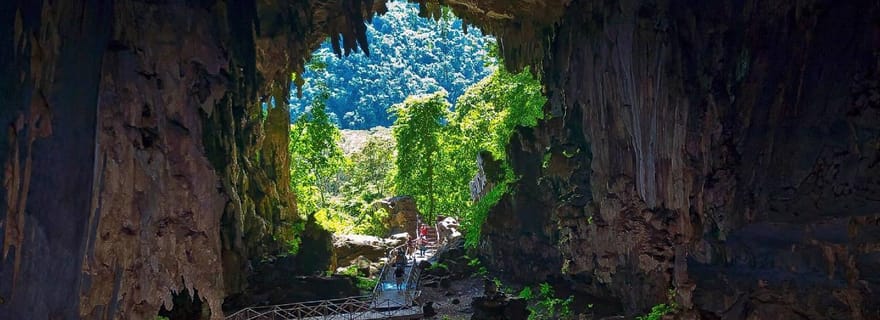 Aventure dans l'obscurité - Grotte des hiboux et expédition à Santa Carmen