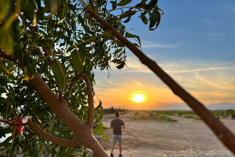 camel ride with sunset and star watching