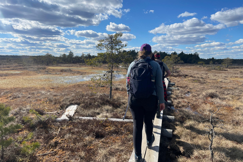 Helsinki: Full-Day Hike in Torronsuo’s Wild Bog