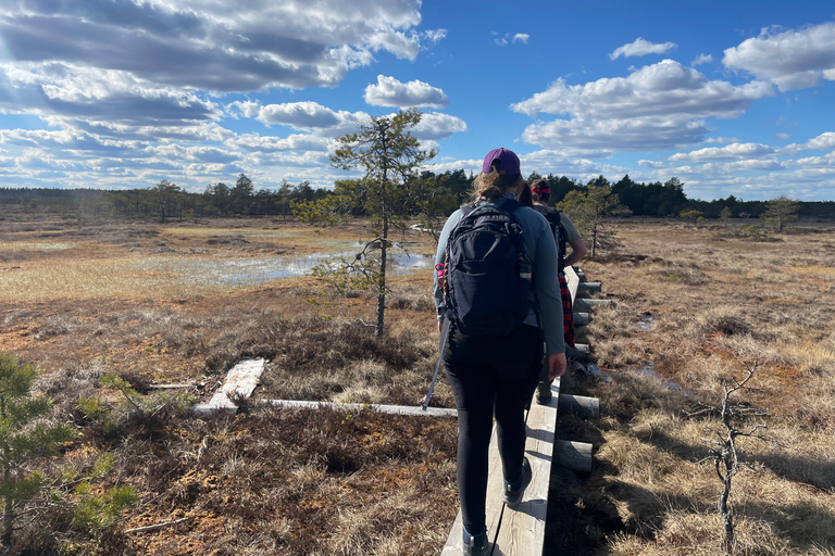 Helsinki: Full-Day Hike in Torronsuo’s Wild Bog