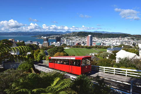 Wellington: City Food Tour with 6+ Tastings & Craft Beer