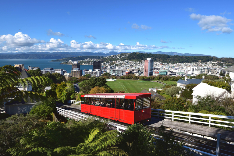 Wellington: City Food Tour with 6+ Tastings & Craft Beer