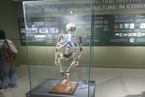 Addis Ababa: National Museum Guided Tour with Lucy Fossil