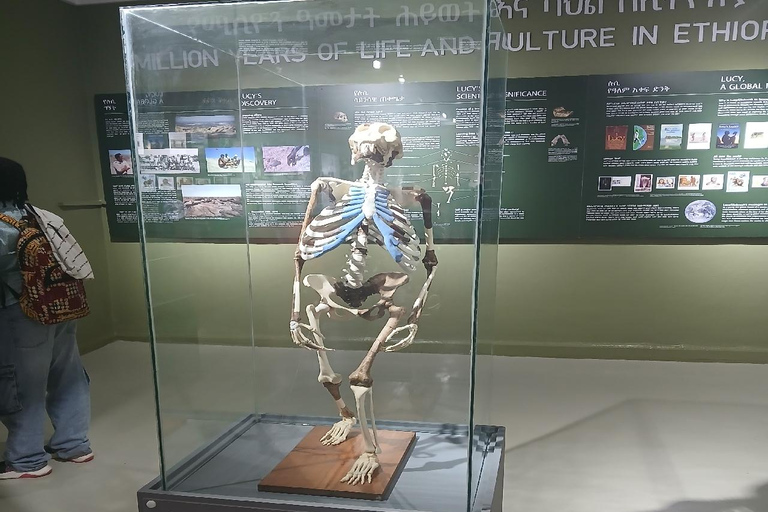 Addis Ababa: National Museum Guided Tour with Lucy Fossil