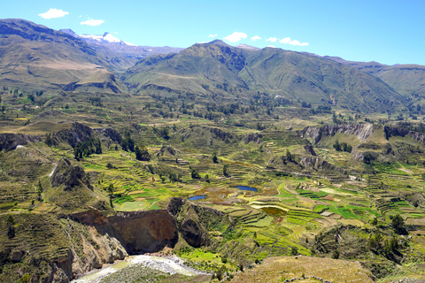 Excursión de un día al Cañón del Colca desde Arequipa con final en Puno