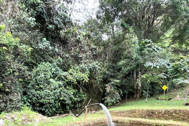 Cali: El Alemán Waterfall Hike in Farallones Park