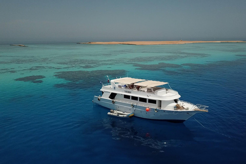 El Gouna : aventure de plongée avec tuba en mer Rouge avec transfertsIncluant les transferts et le déjeuner