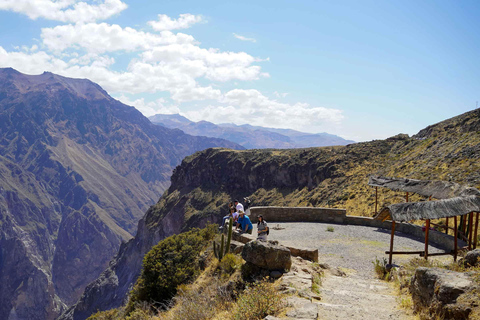 Colca Canyon Day Trip + Transfer to Puno with Meals