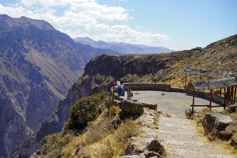 Colca Canyon Day Trip + Transfer to Puno with Meals