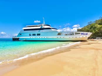 From Brisbane: Moreton Island Full-Day Trip