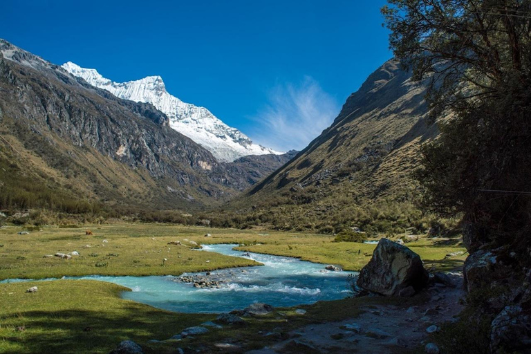 Huaraz: Ganztägige Lagune 69 + Llanganuco Lagune