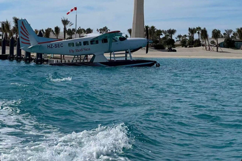 Jeddah Marina Tour, Art Workshop &amp; teamLab Exhibition